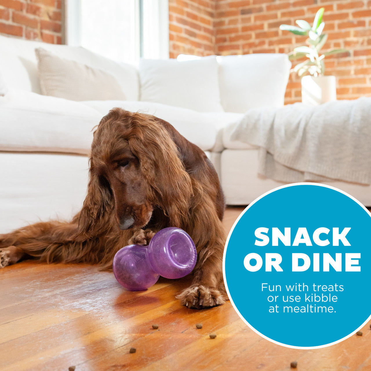 Double Snoop challenges the brain in fun and stimulating ways. It is a translucent and pliable interactive puzzle toy with deep creviced balls on each end that conceal treats. Dogs will need to pounce, nudge, nose, and nibble the toy to release the treats hidden inside.