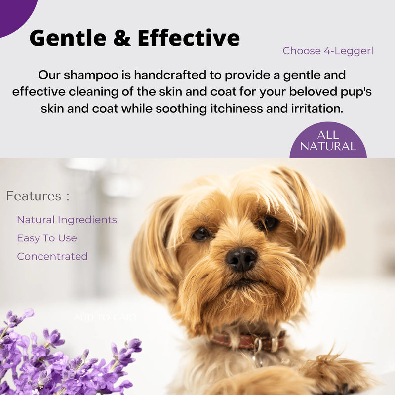 Provide relief of painful inflamed skin and encourage healing with this hypoallergenic and USDA Organic dog shampoo from 4-Legger.