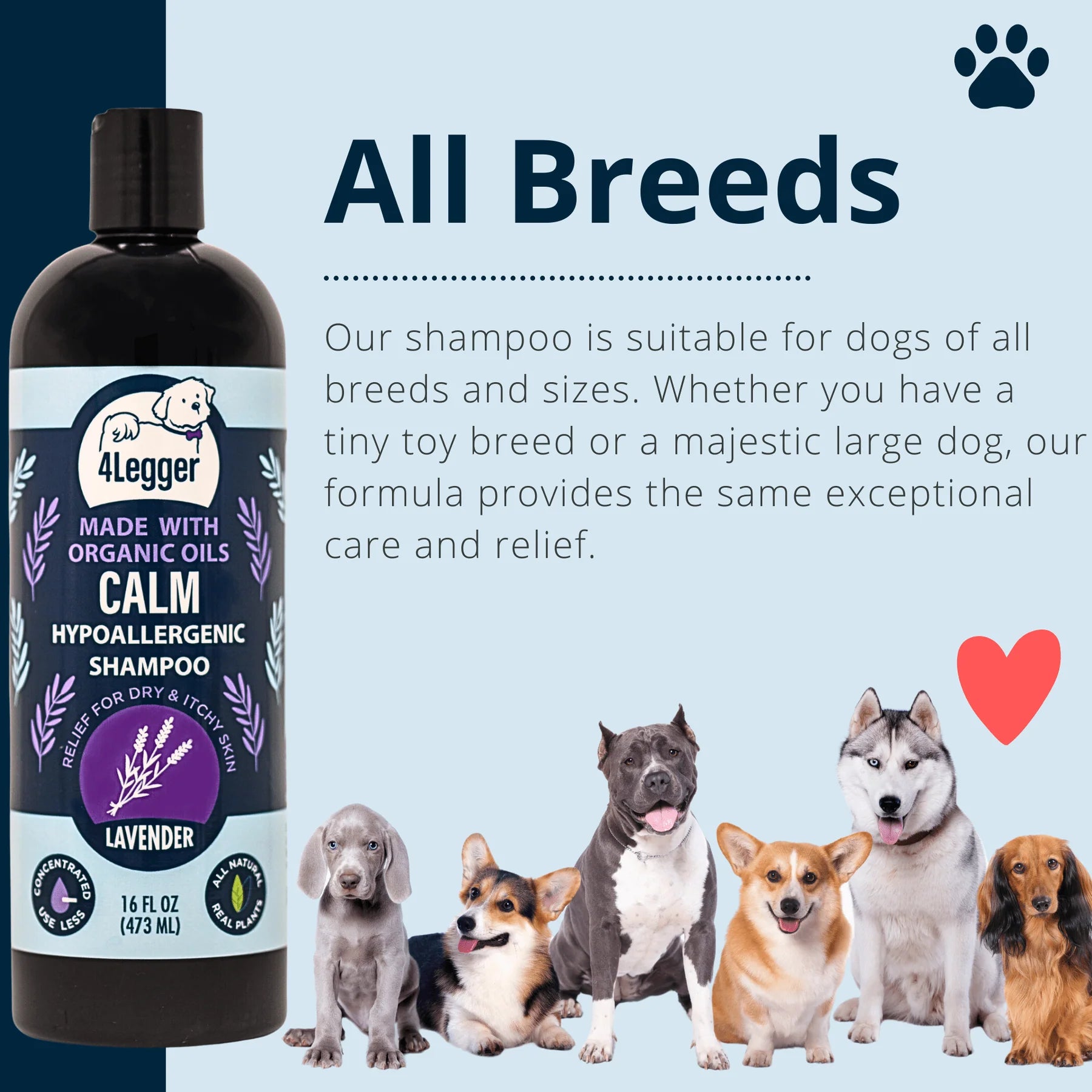 Provide relief of painful inflamed skin and encourage healing with this hypoallergenic and USDA Organic dog shampoo from 4-Legger.