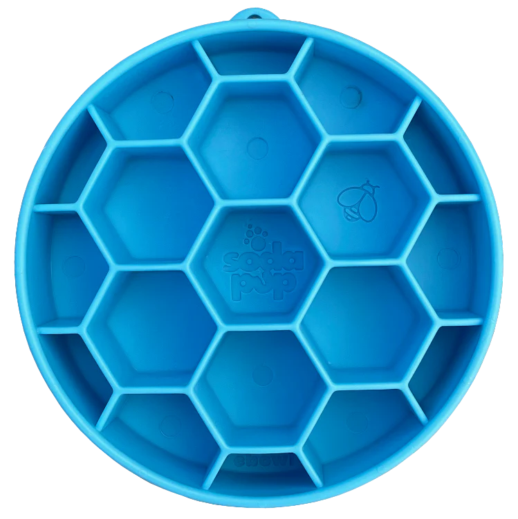 eBowl Enrichment Slow Feeder for Dogs