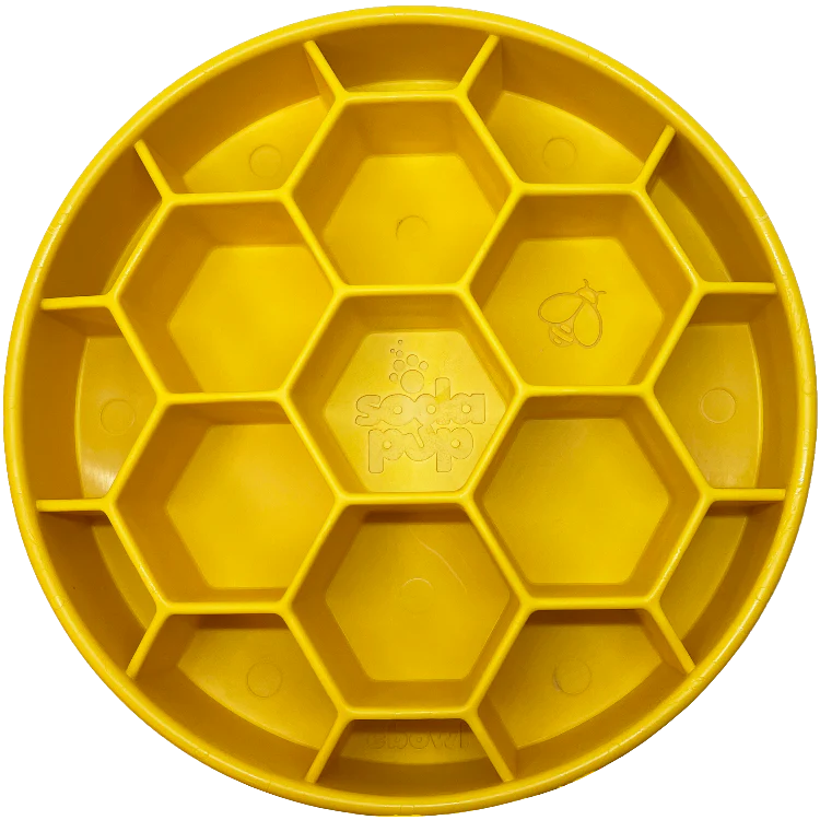 eBowl Enrichment Slow Feeder for Dogs