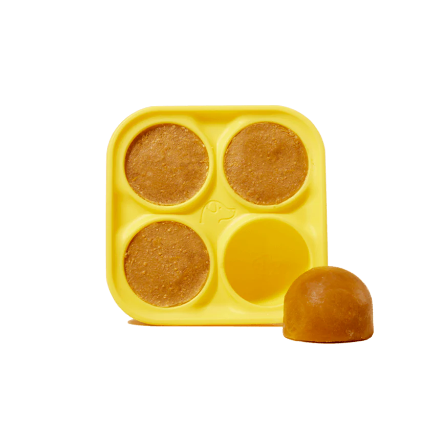 Pupsicle treat tray filled with homemade refill pops for dogs.