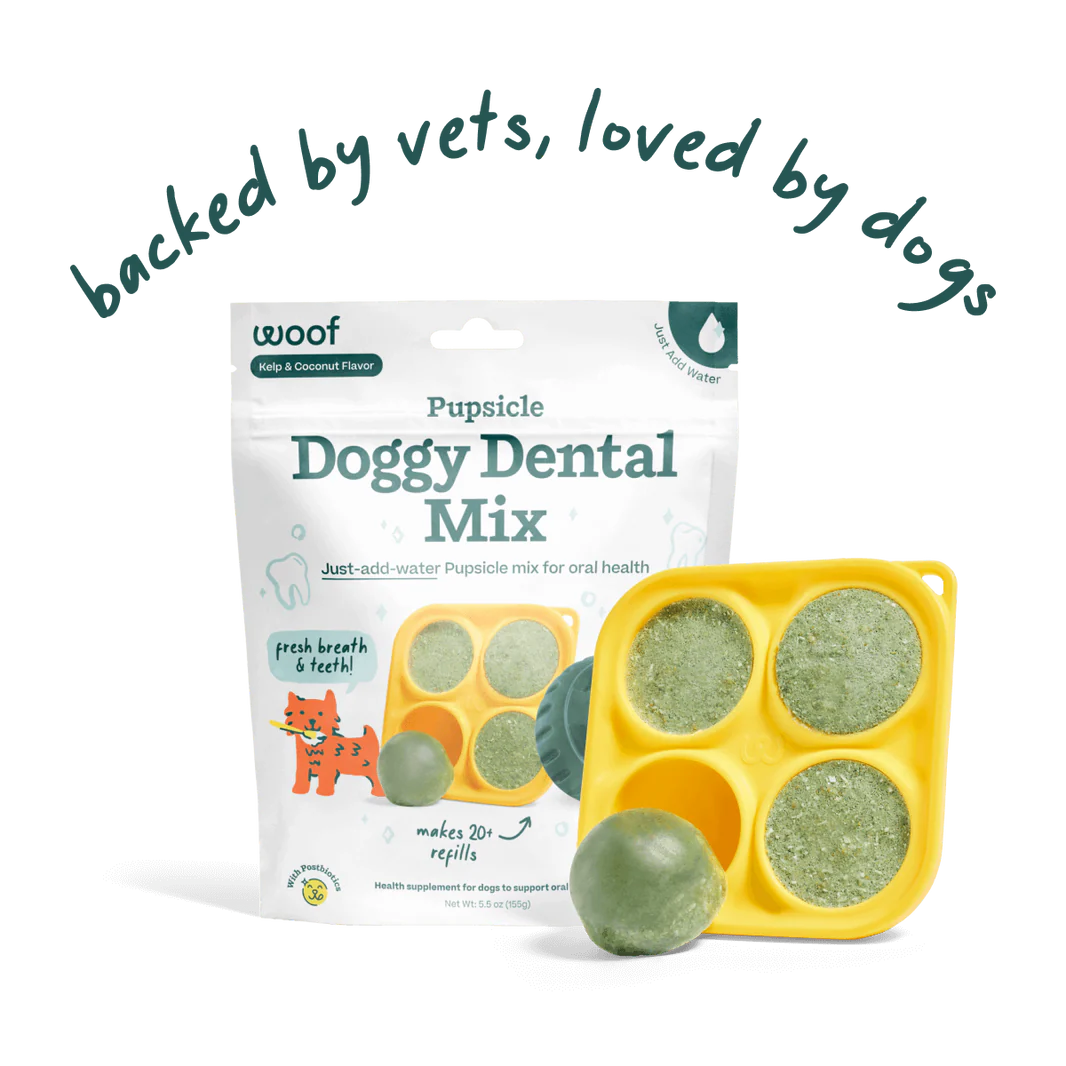 Package of the doggy dental Pupsicle treat mix next to the Pupsicle treat tray filled with frozen refill pops.