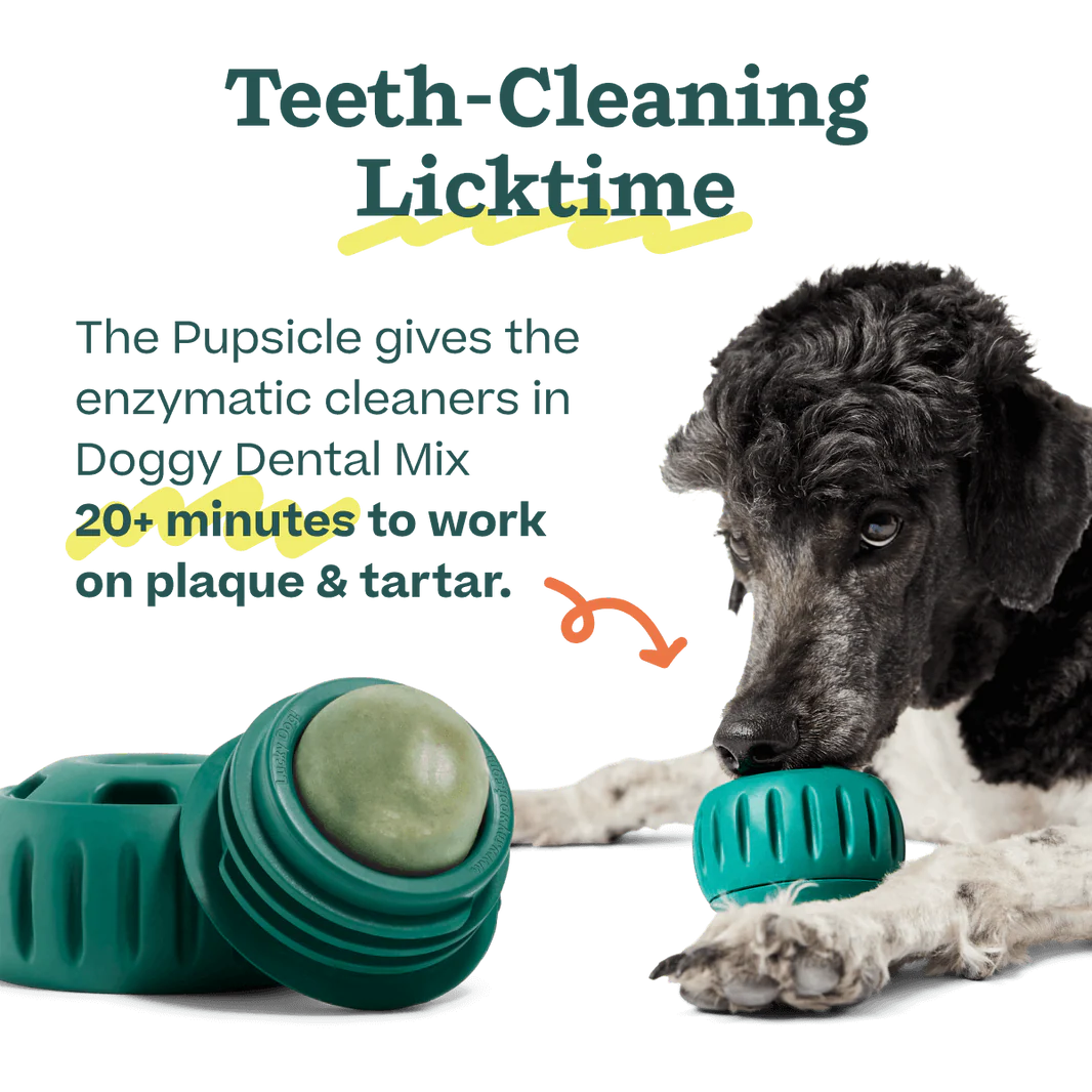 Enzymatic cleaners in the doggy dental Pupsicle treat mix work for 20+ minutes while a dog licks the refill pop inside the Pupsicle treat toy.