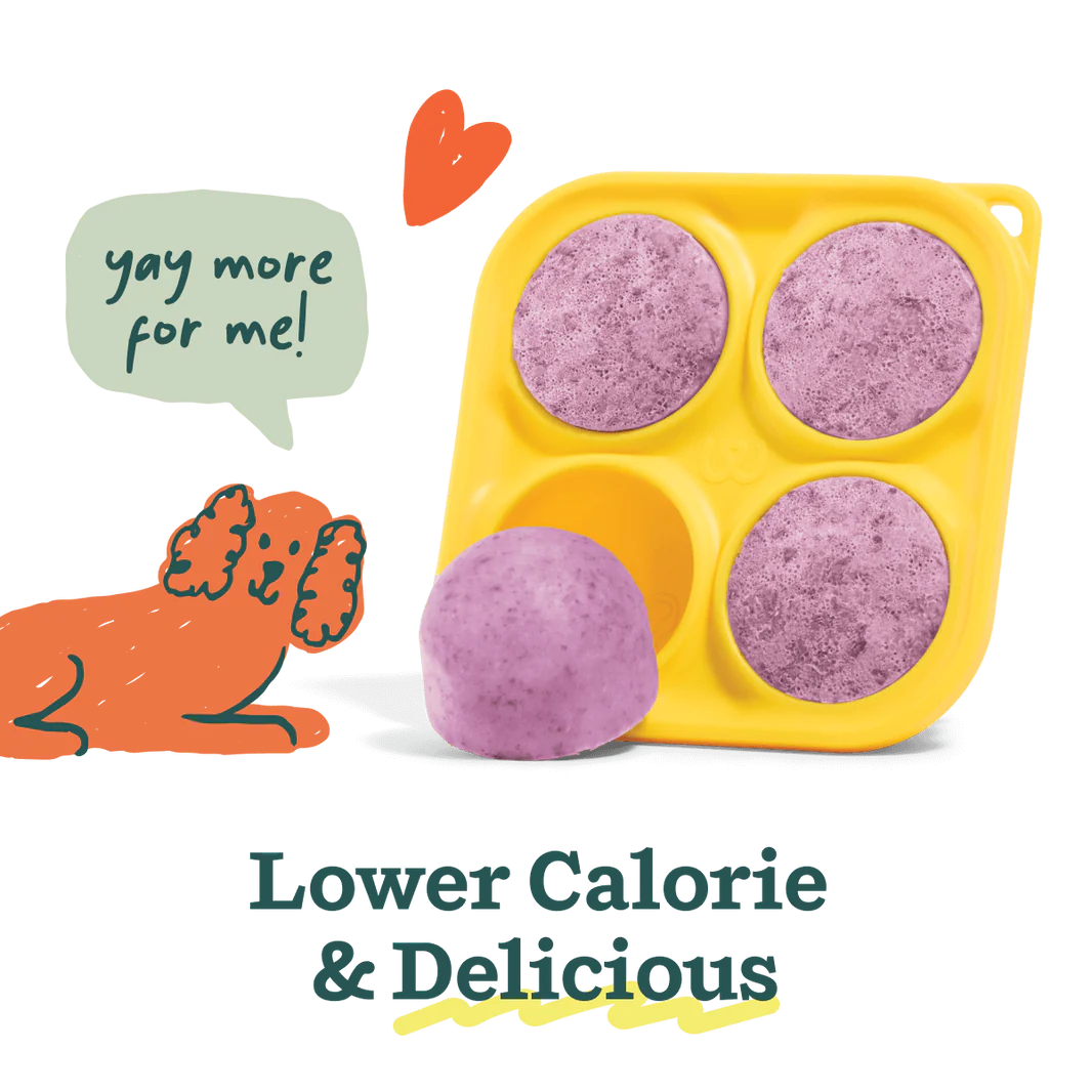 Pupsicle treat tray filled with frozen refill pops.