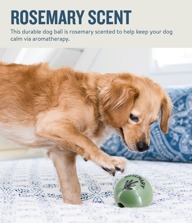 Infused with the calming scents of lavender, rosemary, vanilla, and designed with chewers in mind! These durable balls work well to quench your dog's chewing urges. Made from the award-winning Orbee-Tuff material, which is 100% recyclable and non-toxic. Ball is durable, bouncy, buoyant, and perfect for tossing, fetching, bouncing, and doubles as a treat dispenser.