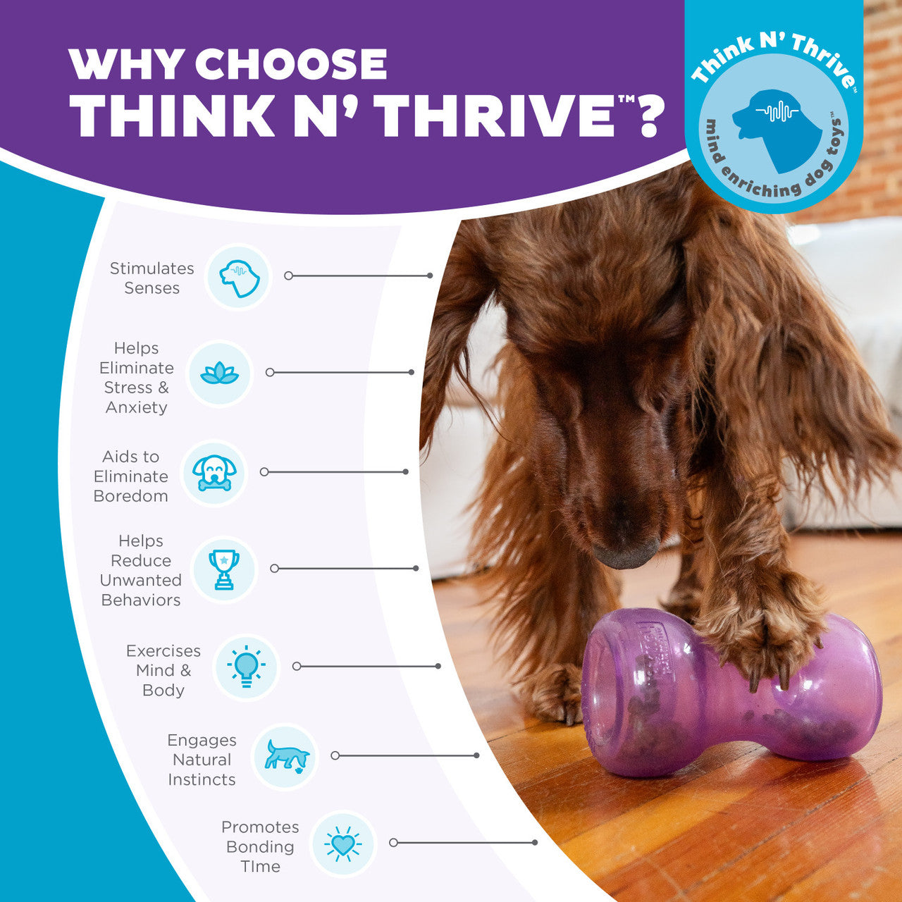 Double Snoop challenges the brain in fun and stimulating ways. It is a translucent and pliable interactive puzzle toy with deep creviced balls on each end that conceal treats. Dogs will need to pounce, nudge, nose, and nibble the toy to release the treats hidden inside.