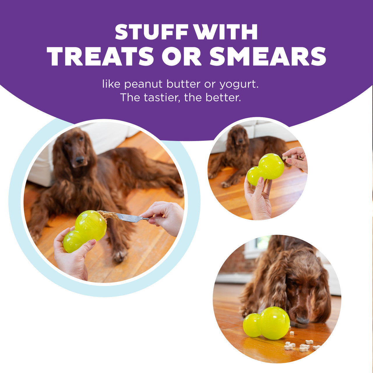 Double-Tuff is a durable interactive treat stuffer that caters to natural chewing instincts while offering mental stimulation for dogs as they work to release the goodies stuffed inside. Toy is durable, bouncy, buoyant, and perfect for tossing, fetching, and bouncing. Its asymmetrical doubled design makes for unpredictable bounces that dogs love to chase.