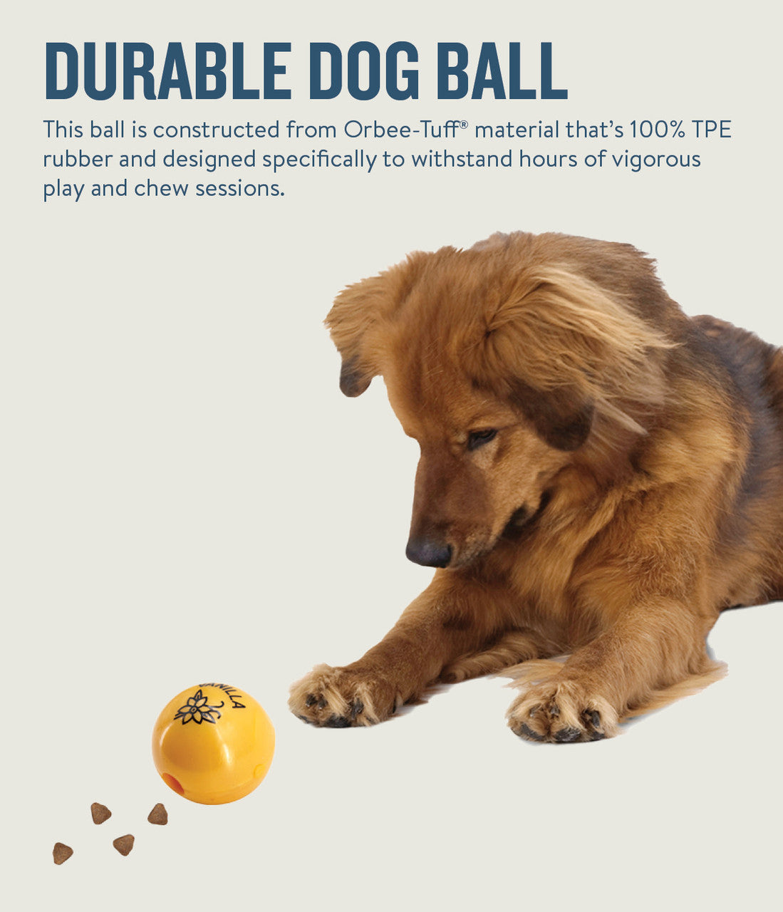 Infused with the calming scents of lavender, rosemary, vanilla, and designed with chewers in mind! These durable balls work well to quench your dog's chewing urges. Made from the award-winning Orbee-Tuff material, which is 100% recyclable and non-toxic. Ball is durable, bouncy, buoyant, and perfect for tossing, fetching, bouncing, and doubles as a treat dispenser.