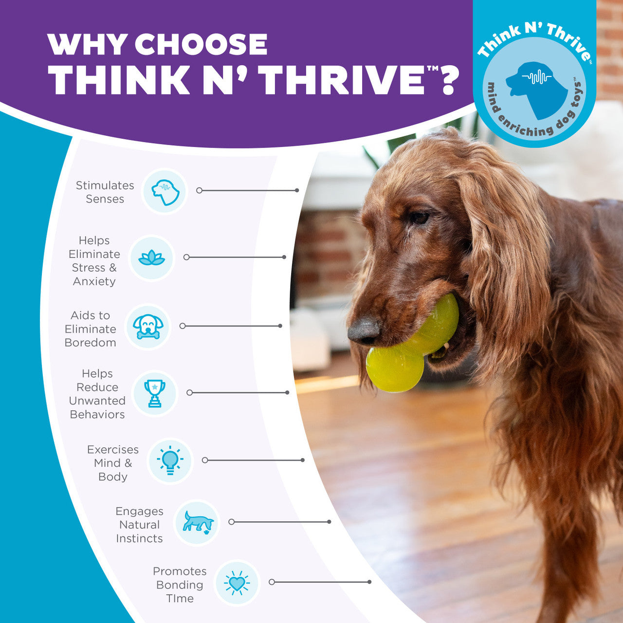 Double-Tuff is a durable interactive treat stuffer that caters to natural chewing instincts while offering mental stimulation for dogs as they work to release the goodies stuffed inside. Toy is durable, bouncy, buoyant, and perfect for tossing, fetching, and bouncing. Its asymmetrical doubled design makes for unpredictable bounces that dogs love to chase.