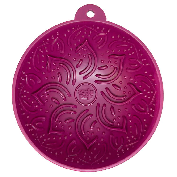 eBowl Garden of Eatin' Enrichment Tipsy Bowl for Pets