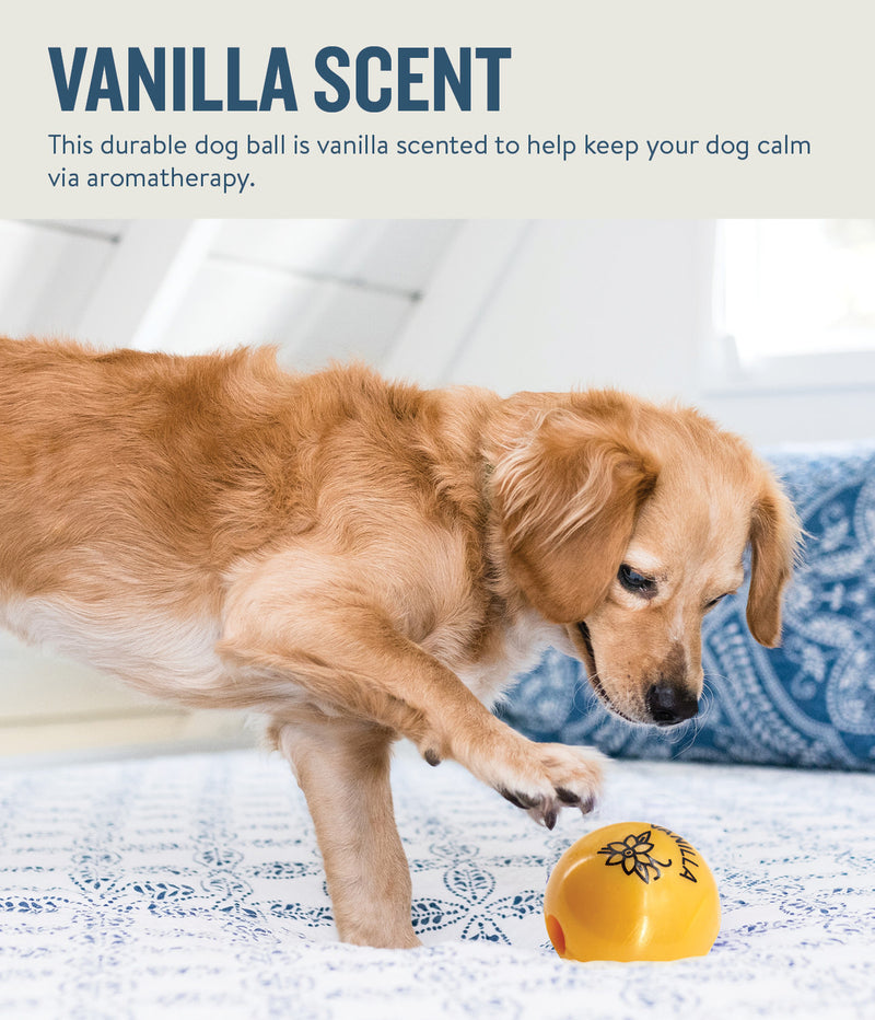 Infused with the calming scents of lavender, rosemary, vanilla, and designed with chewers in mind! These durable balls work well to quench your dog's chewing urges. Made from the award-winning Orbee-Tuff material, which is 100% recyclable and non-toxic. Ball is durable, bouncy, buoyant, and perfect for tossing, fetching, bouncing, and doubles as a treat dispenser.