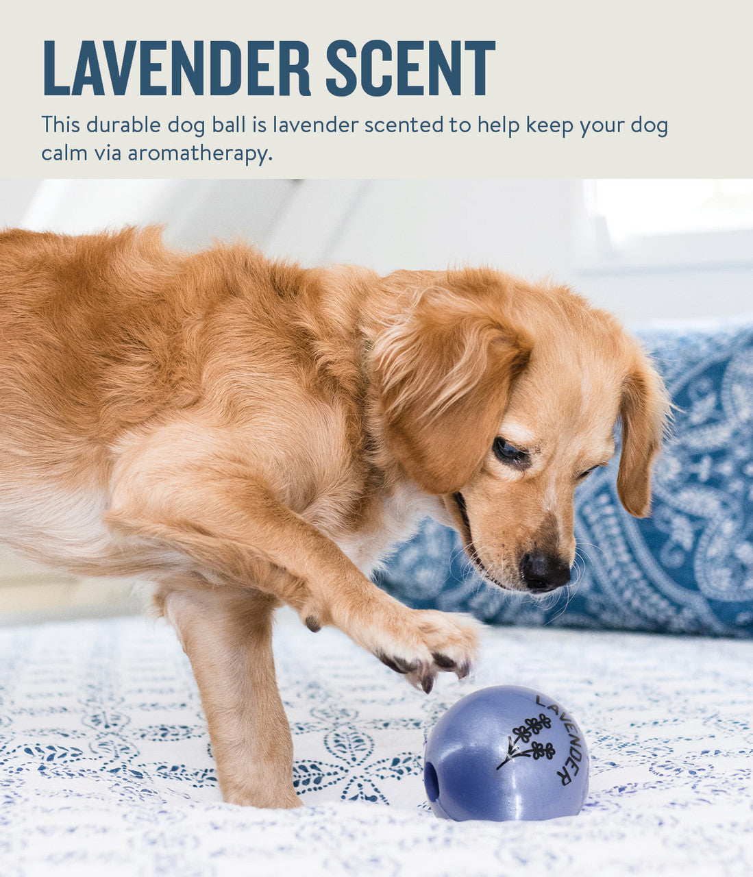 Infused with the calming scents of lavender, rosemary, vanilla, and designed with chewers in mind! These durable balls work well to quench your dog's chewing urges. Made from the award-winning Orbee-Tuff material, which is 100% recyclable and non-toxic. Ball is durable, bouncy, buoyant, and perfect for tossing, fetching, bouncing, and doubles as a treat dispenser.