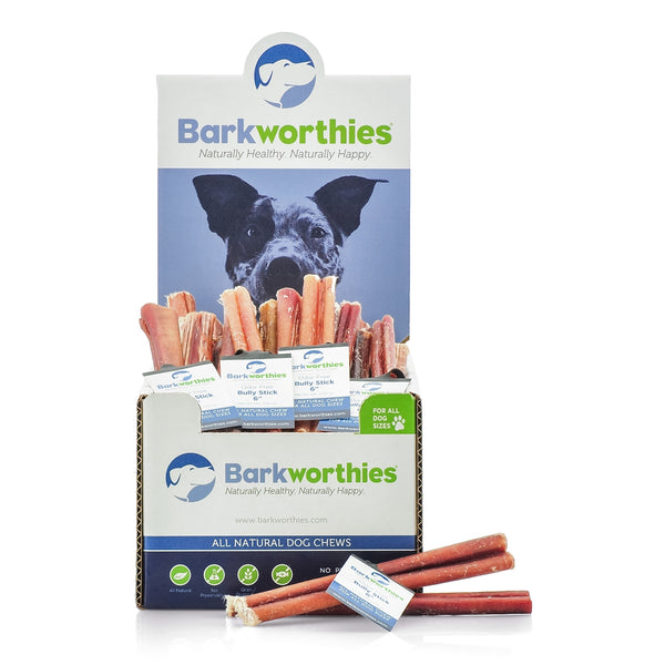 Barkworthies Bully Sticks are all-natural chews for your dog that will keep them busy for hours. Bully sticks are considered a high value treat, which makes them great for redirection training for constant chewers or dogs who may be anxious in social situations.
