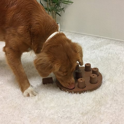 The Dog Smart puzzle helps reduce destructive behavior and fights boredom by keeping your dog busy exercising their mind. A positive activity that will strengthen the human/canine bond. Fun for all dogs, regardless of age, size, or breed. Puzzle is made from a non-toxic composite material that is easy to clean!