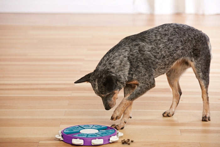 The Dog Twister puzzle features 9 treat compartments, 8 blocks that slide to cover the compartments, and 9 locking tabs. Your dog will enjoy pawing, sniffing, and nudging the blocks around to reveal the hidden treats. Push the tabs in to lock the blocks in place to increase the difficulty level of the puzzle.