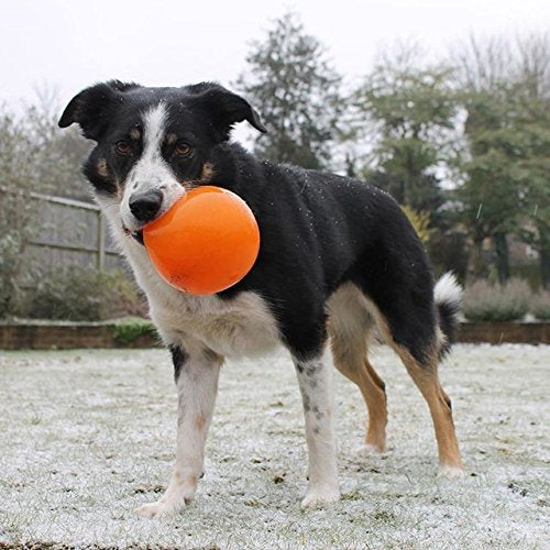 Sol is made from the award-winning Orbee-Tuff material, which is 100% recyclable and non-toxic. Ball is durable, bouncy, buoyant, and perfect for tossing, fetching, and bouncing. Toy is infused with natural mint oil.