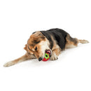 The Orbee-Tuff Foodies treat toys are shaped like farm fresh fruits and vegetables, and are suitable for dogs of all sizes and breeds. The toys are realistically shaped allowing for an unpredictable bounce that dogs love to chase. Foodies are durable, bouncy, buoyant, and perfect for tossing, fetching, and bouncing.