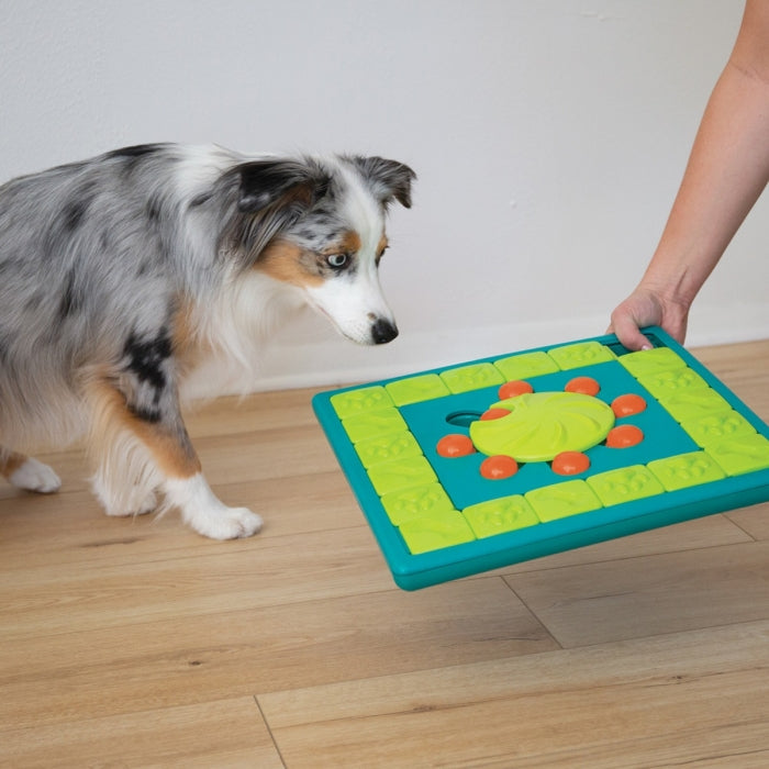 The MultiPuzzle dog puzzle is ideal for dogs who have mastered levels 1-3 of the Nina Ottosson puzzle line. Puzzle features a treat tray and 8 treat compartments with sliding blocks, covers, and locking inner wheel. Your dog will enjoy pawing, sniffing, and nudging the blocks around to reveal the hidden treats.