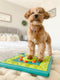 The MultiPuzzle dog puzzle is ideal for dogs who have mastered levels 1-3 of the Nina Ottosson puzzle line. Puzzle features a treat tray and 8 treat compartments with sliding blocks, covers, and locking inner wheel. Your dog will enjoy pawing, sniffing, and nudging the blocks around to reveal the hidden treats.