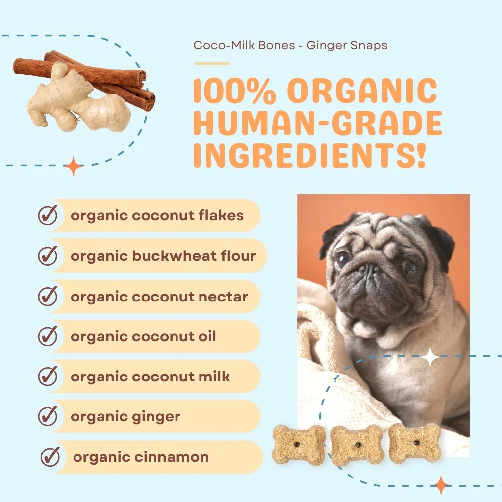 Coco-Milk Bones are crunchy and delicious treats that support optimal immune and digestive health in your dog. Treats are made with creamy organic coconut milk which is rich in medium chain triglycerides and is a healthy source of beneficial fatty acids.