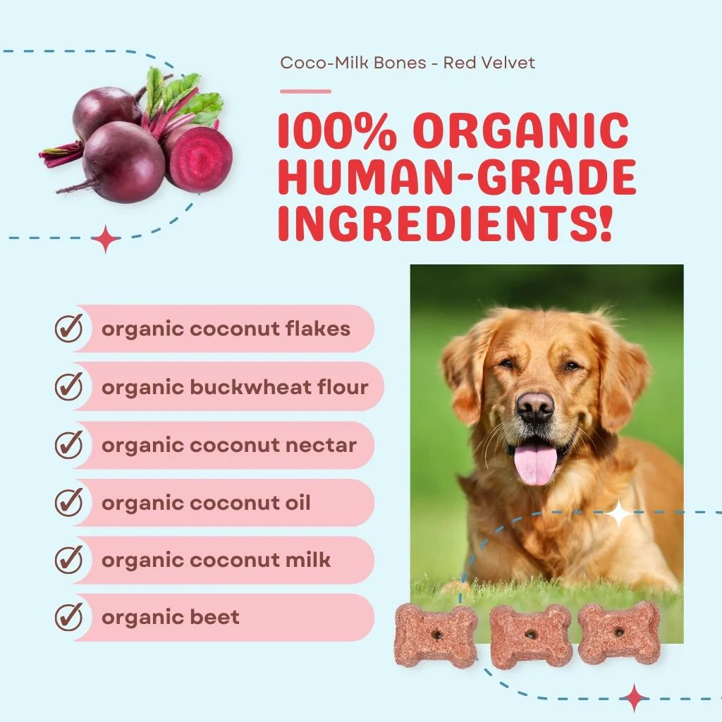 Coco-Milk Bones are crunchy and delicious treats that support optimal immune and digestive health in your dog. Treats are made with creamy organic coconut milk which is rich in medium chain triglycerides and is a healthy source of beneficial fatty acids.