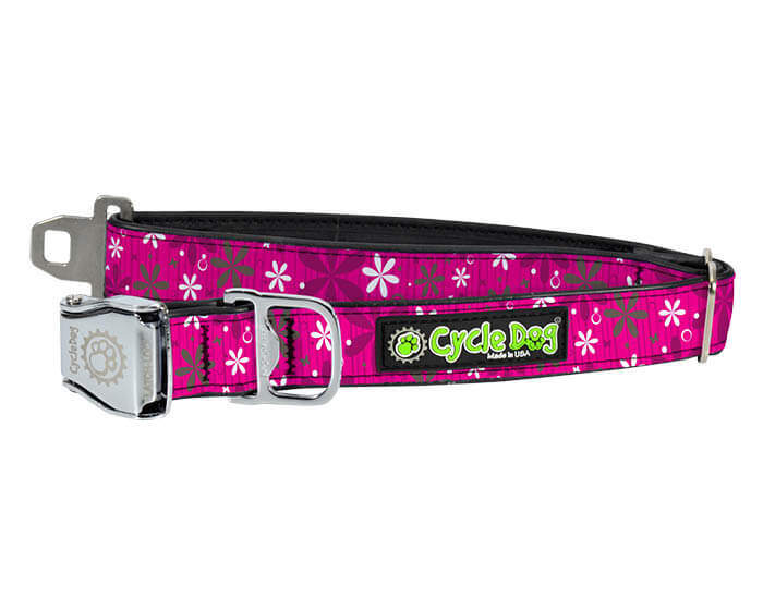 The Waterproof No-Stink Collars from Cycle Dog are stylish, functional, durable, easy to clean, perfect for everyday wear, eco-friendly, and Made in the USA. Collars feature a separate loop for I.D. tags/lights, bottle opener/leash loop, and a latch-lock metal buckle that is 4 times stronger than plastic.