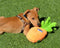 The Duraplush Pineapple dog toy is durable, soft, eco-friendly, and made in the USA. It features a Duraplush 2-ply bonded outer material, Stitchguard internal seams, and eco-fill recycled filling. Toy does not contain an internal squeaker.