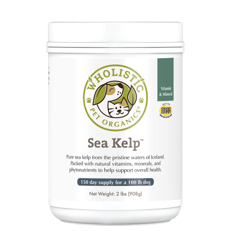 Wholistic Sea Kelp™ is especially rich in iodine, necessary for proper support of the thyroid gland and superb for enriching skin pigmentation.