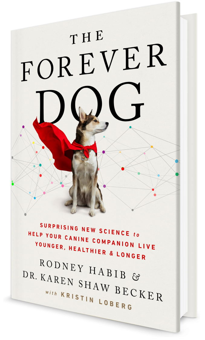 In this pathbreaking guide, two of the world’s most popular and trusted pet care advocates reveal new science to teach us how to delay aging and provide a long, happy, healthy life for our canine companions.