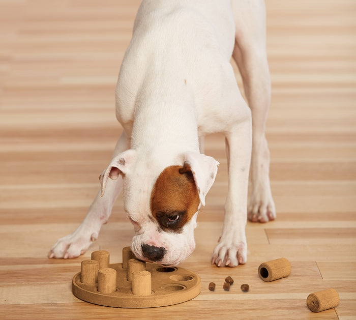 The Dog Smart puzzle helps reduce destructive behavior and fights boredom by keeping your dog busy exercising their mind. A positive activity that will strengthen the human/canine bond. Fun for all dogs, regardless of age, size, or breed. Puzzle is made from a non-toxic composite material that is easy to clean!