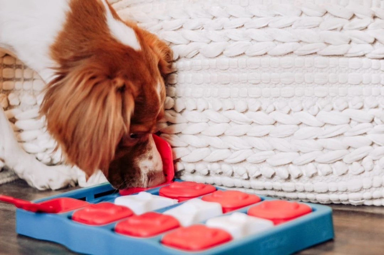 The Dog Brick puzzle game will keep your dog entertained for hours. Hide their favorite snacks inside the three different treat compartments, so they will have to use their natural hunting skills to seek out the hidden snacks.