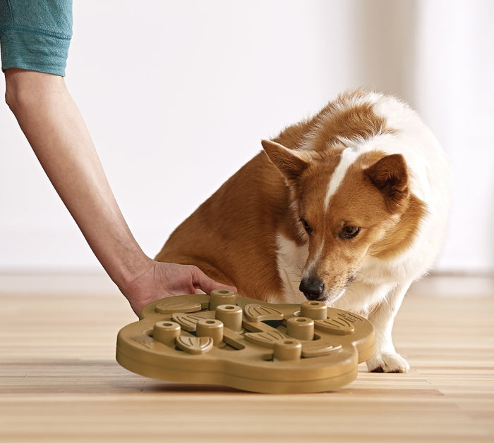 The Dog Hide n' Slide puzzle helps reduce destructive behavior and fights boredom by keeping your dog busy exercising their mind. A positive activity that will strengthen the human/canine bond. Fun for all dogs, regardless of age, size, or breed. Puzzle is made from a non-toxic composite material that is easy to clean! No removable parts.