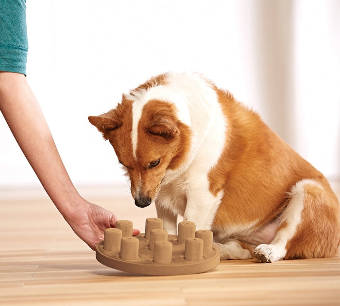 The Dog Smart puzzle helps reduce destructive behavior and fights boredom by keeping your dog busy exercising their mind. A positive activity that will strengthen the human/canine bond. Fun for all dogs, regardless of age, size, or breed. Puzzle is made from a non-toxic composite material that is easy to clean!